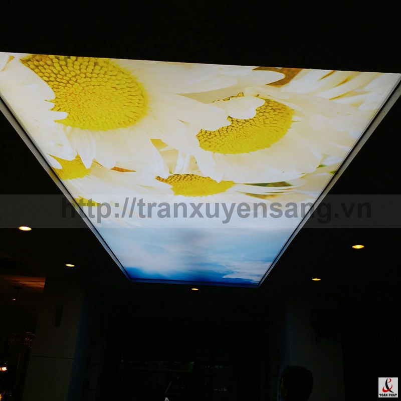 Thi công trần xuyên sáng tại biệt thự Lan Ly – Hòa Bình