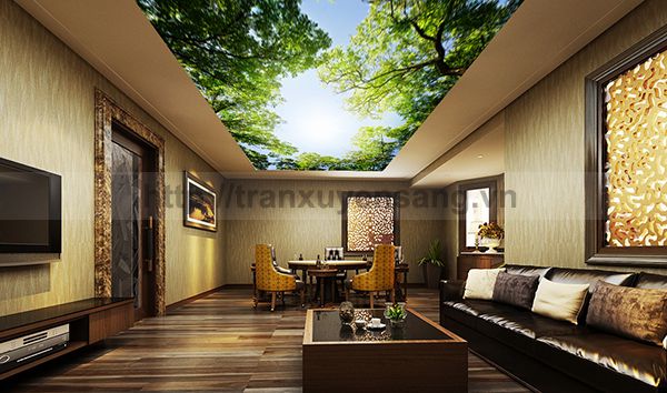 Trần phòng khách dành cho nhà ống ứng dụng công nghệ xuyên sáng hiện đại năm 2017