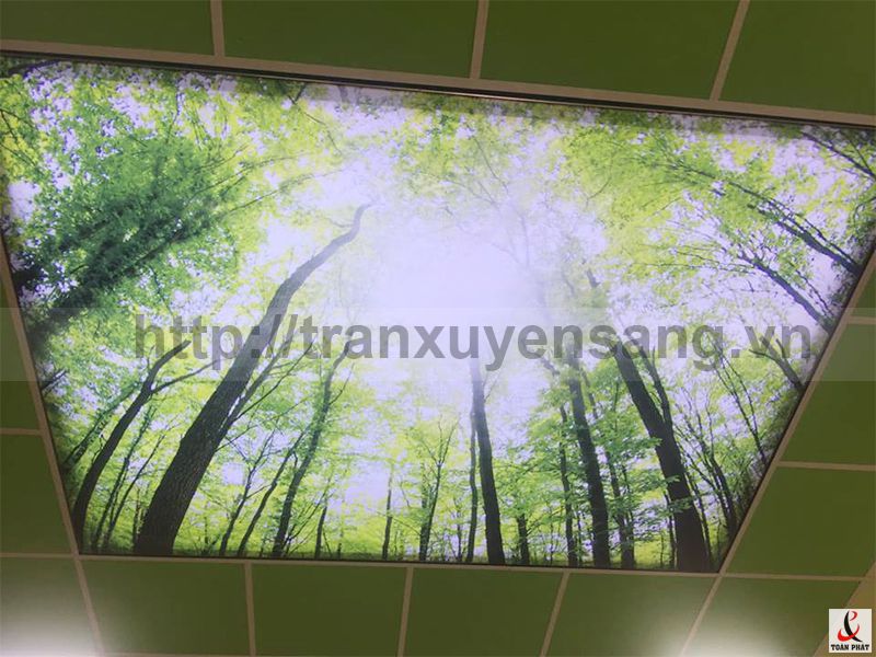 Trần xuyên sáng tại Bệnh viện Sản Nhi Phú Thọ