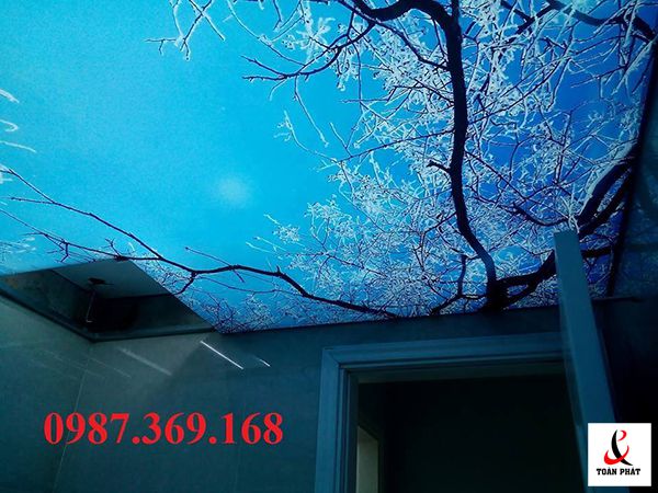 DỰ ÁN THI CÔNG TRẦN XUYÊN SÁNG TẠI ROYAL CITY VÀ TIME CITY